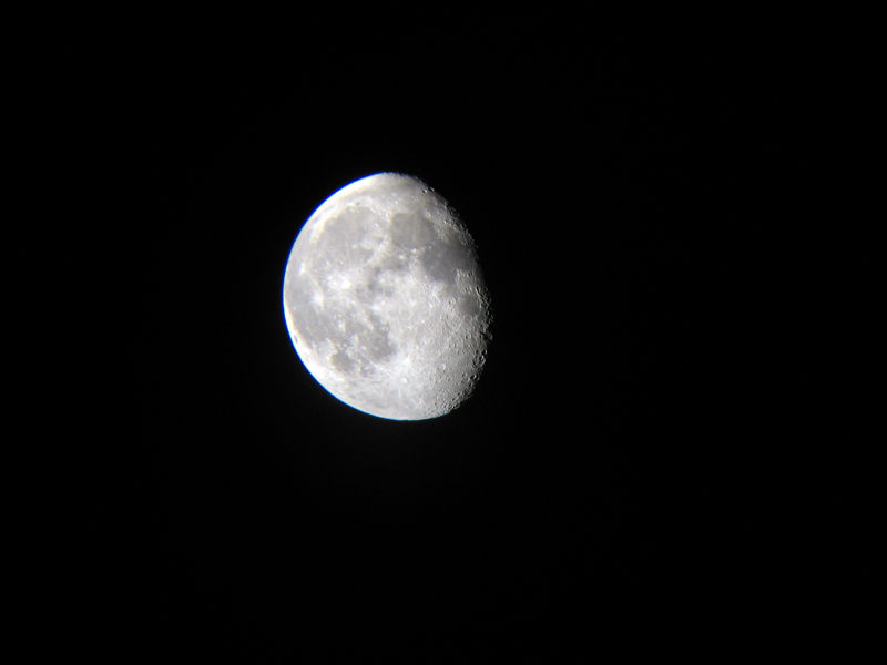 mond1